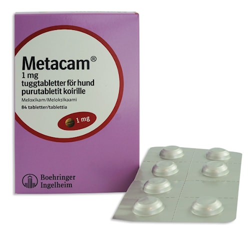 websted Evakuering samtidig Metacam® för hund 1 mg 84 st